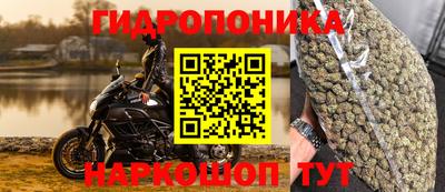 спиды Будённовск