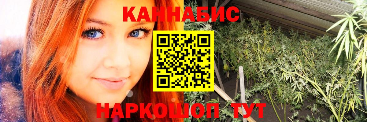 Марихуана план Щёкино